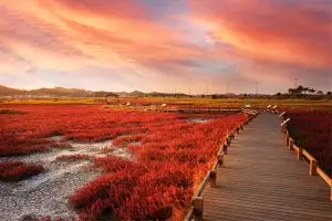 노을 속의 붉은 대지