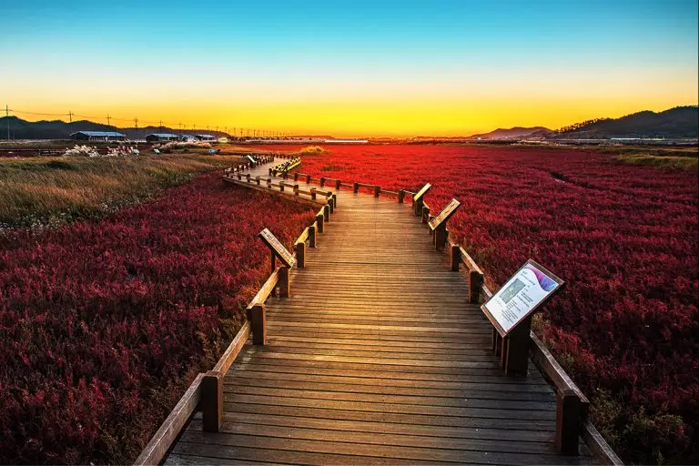 붉은 황혼의 길