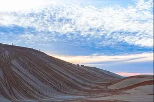 모래 언덕 위의 여정