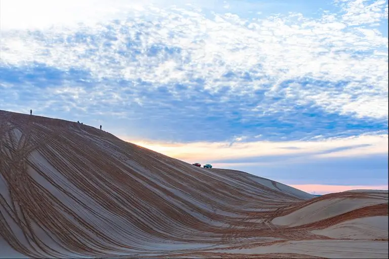 모래 언덕 위의 여정