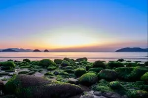 아침 빛의 서곡