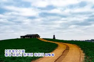 Read more about the article 푸른 들판 위의 평온한 길