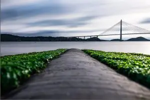 Read more about the article 고요 속의 다리