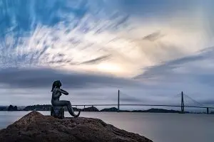 Read more about the article 고요한 인어의 노래