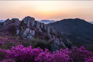 자연의 찬란한 순간