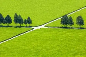 녹(綠)의 만남(邂逅)