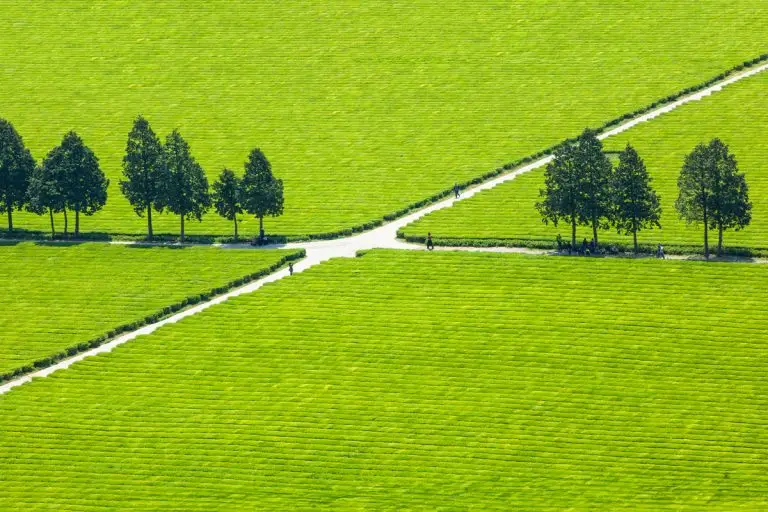 녹(綠)의 만남(邂逅)