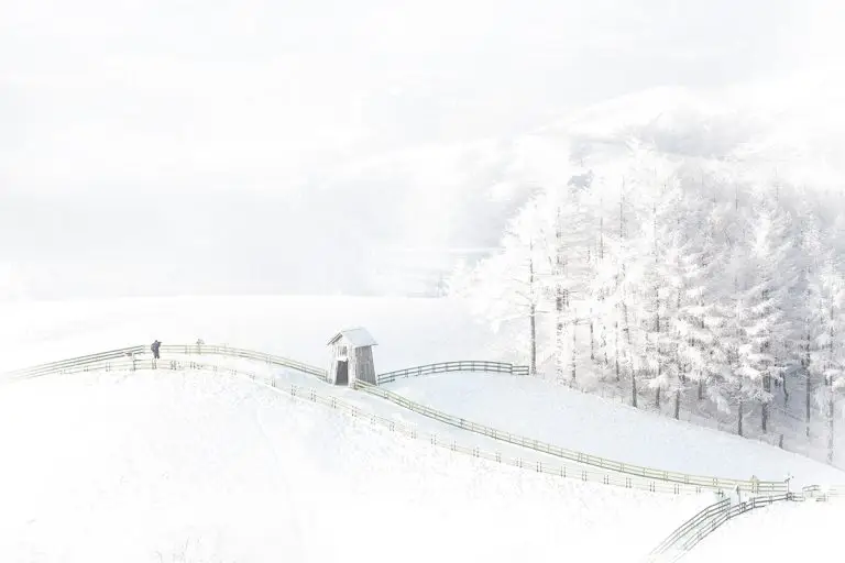 설원의 고요함 속으로