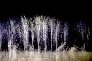 Read more about the article 밤의 빛과 그림자