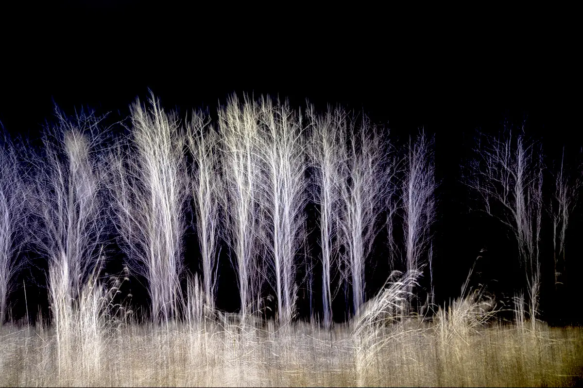 Read more about the article 밤의 빛과 그림자