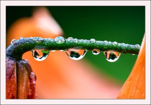 Read more about the article 세번 더 테스트