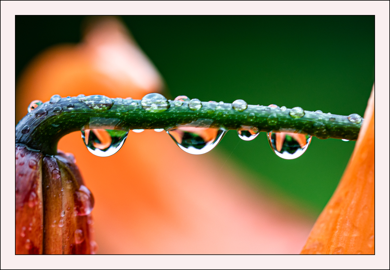 Read more about the article 세번 더 테스트