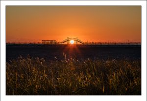 Read more about the article 이미지 업로드 테스트