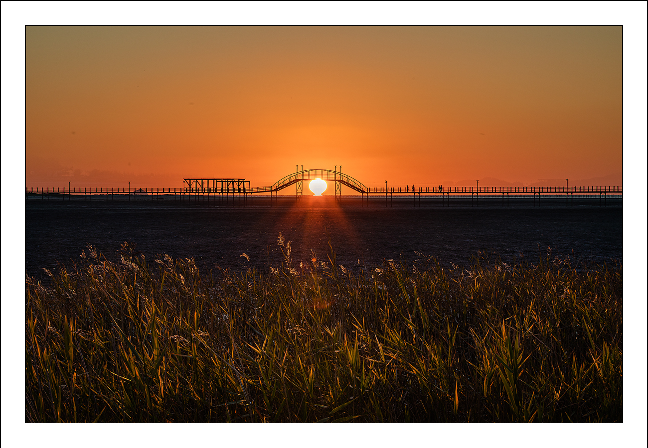 Read more about the article 이미지 업로드 테스트