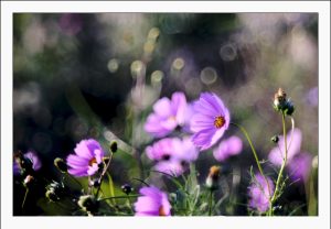 Read more about the article 내일도 오늘도 테스트