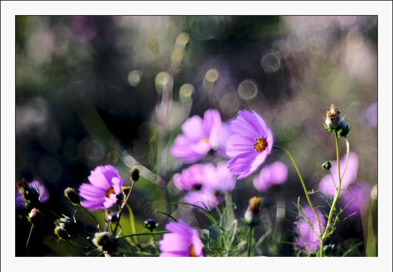 Read more about the article 내일도 오늘도 테스트