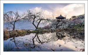 Read more about the article 두번 더 테스트