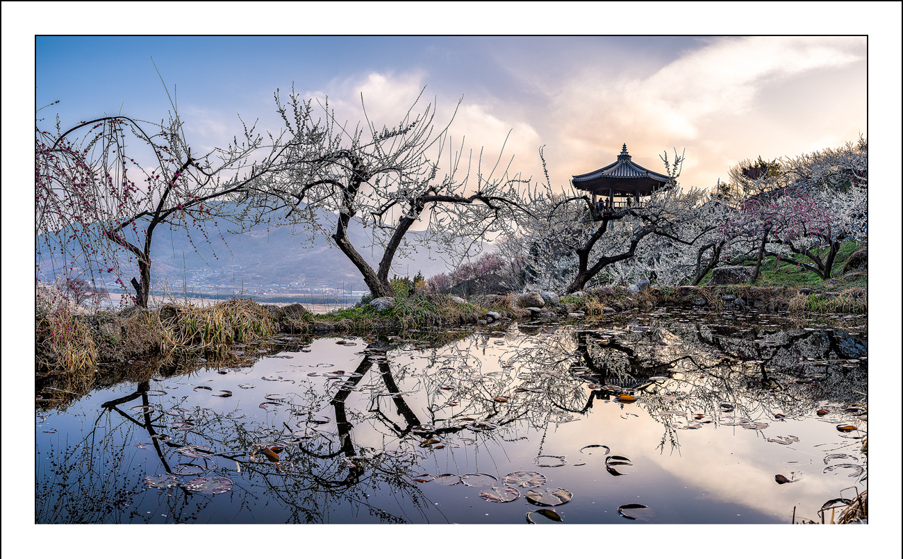 Read more about the article 두번 더 테스트